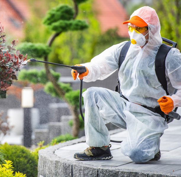 Best Pest Control Canberra Services